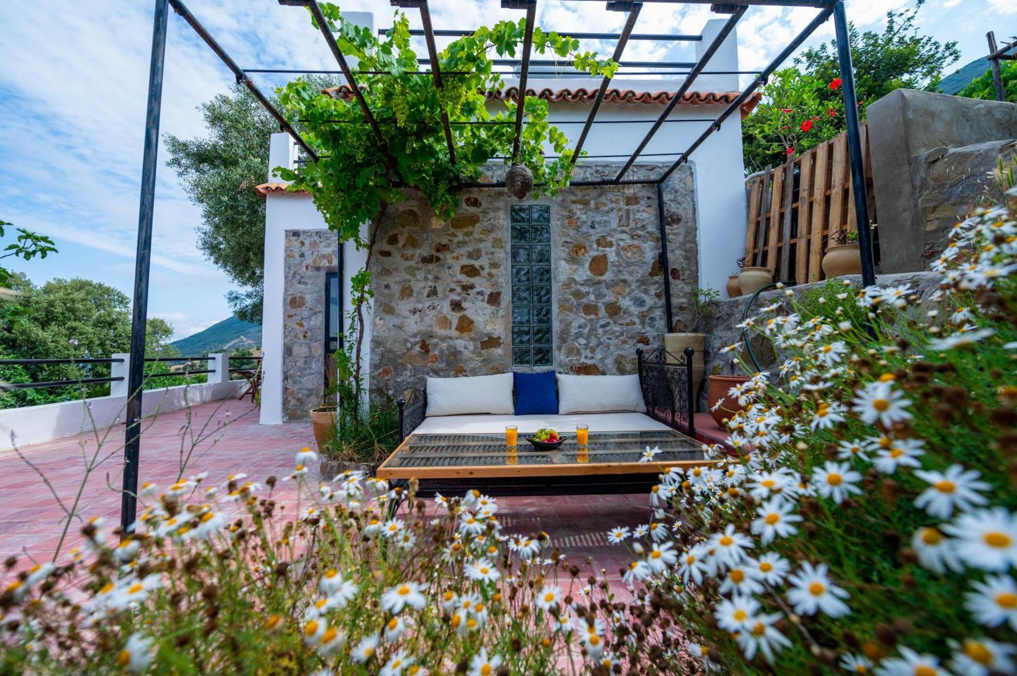 Farm Finn Chefchaouen Extérieur photo